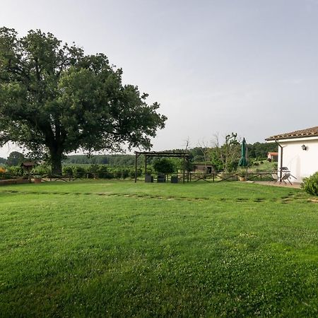 Agriturismo Il Poggio Vetralla Bagian luar foto