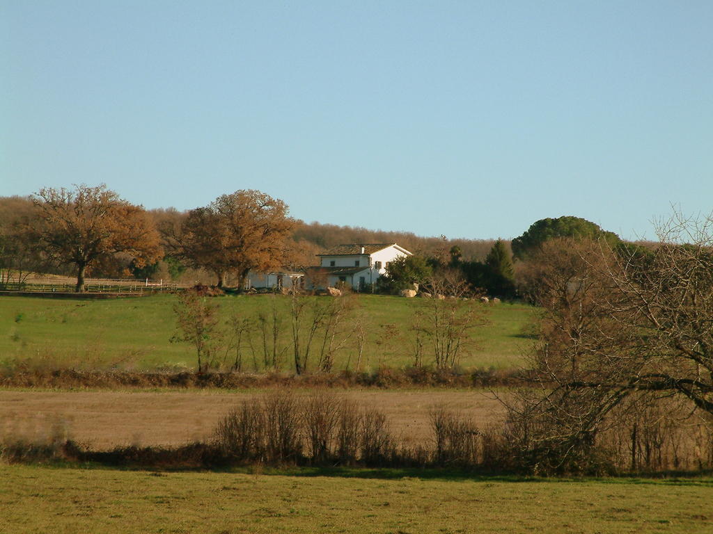 Agriturismo Il Poggio Vetralla Bagian luar foto