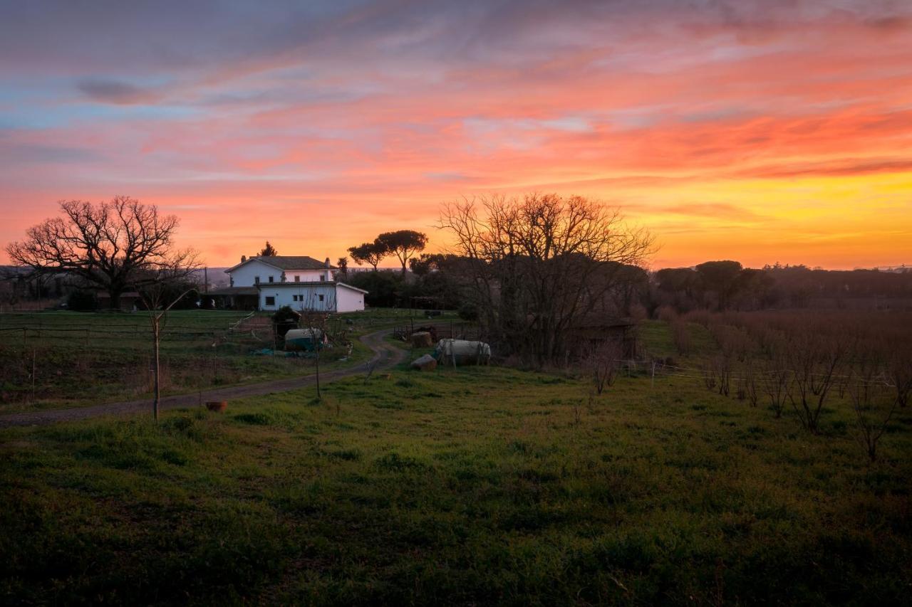 Agriturismo Il Poggio Vetralla Bagian luar foto