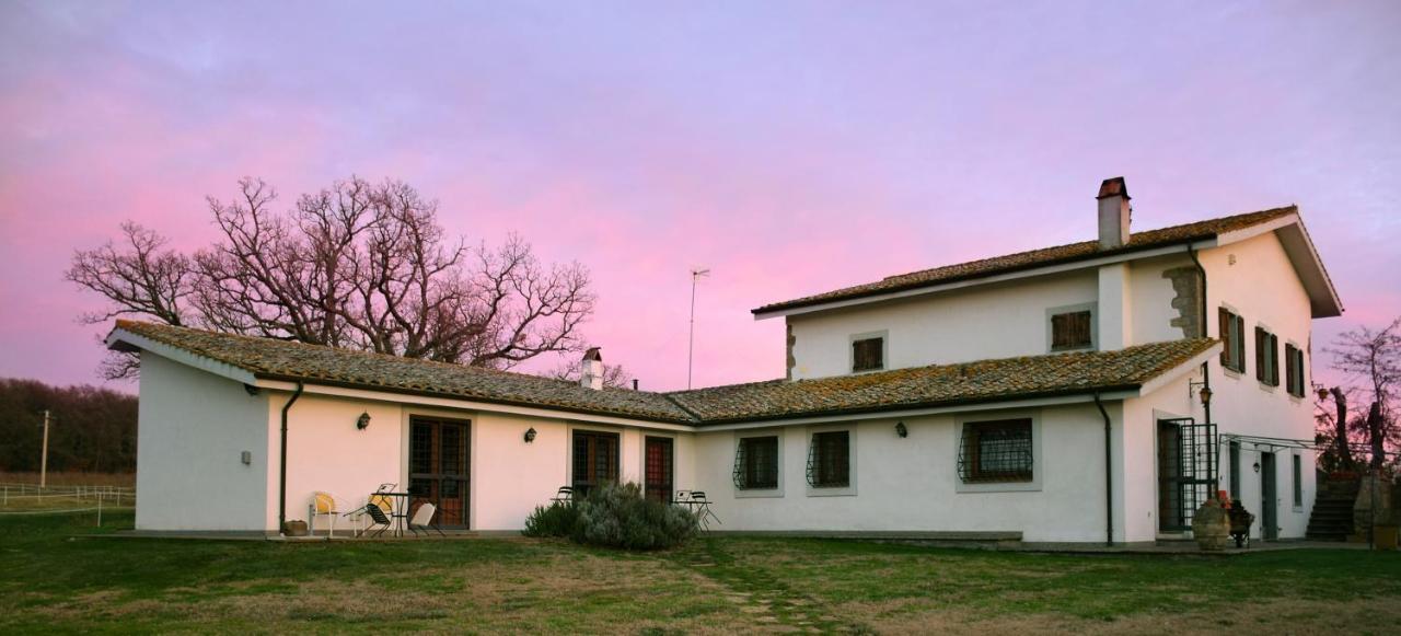 Agriturismo Il Poggio Vetralla Bagian luar foto