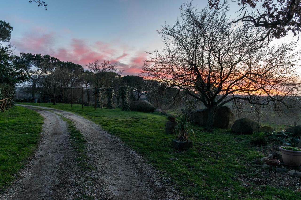 Agriturismo Il Poggio Vetralla Bagian luar foto