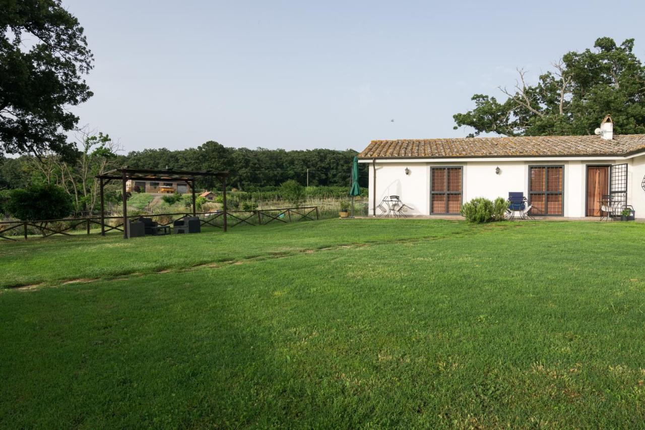Agriturismo Il Poggio Vetralla Bagian luar foto