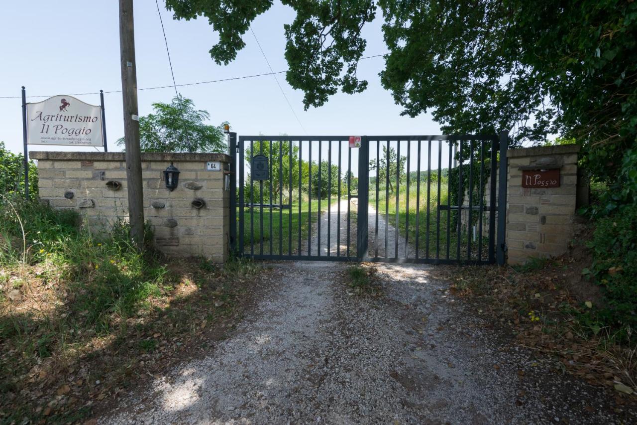 Agriturismo Il Poggio Vetralla Bagian luar foto