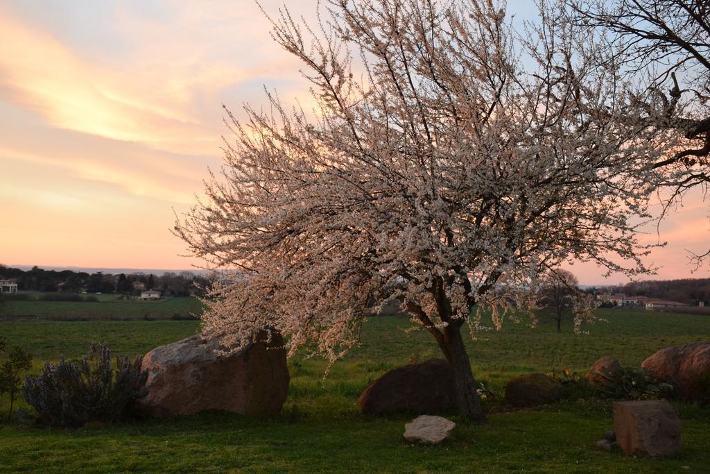Agriturismo Il Poggio Vetralla Bagian luar foto