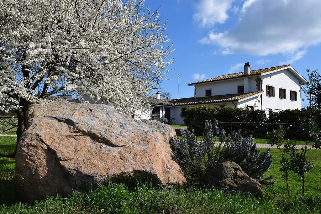 Agriturismo Il Poggio Vetralla Bagian luar foto